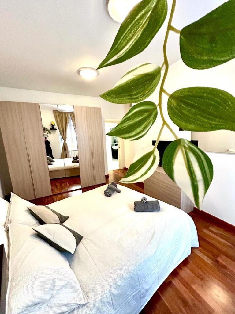 Residence Zar 3 的里雅斯特 外观 照片
